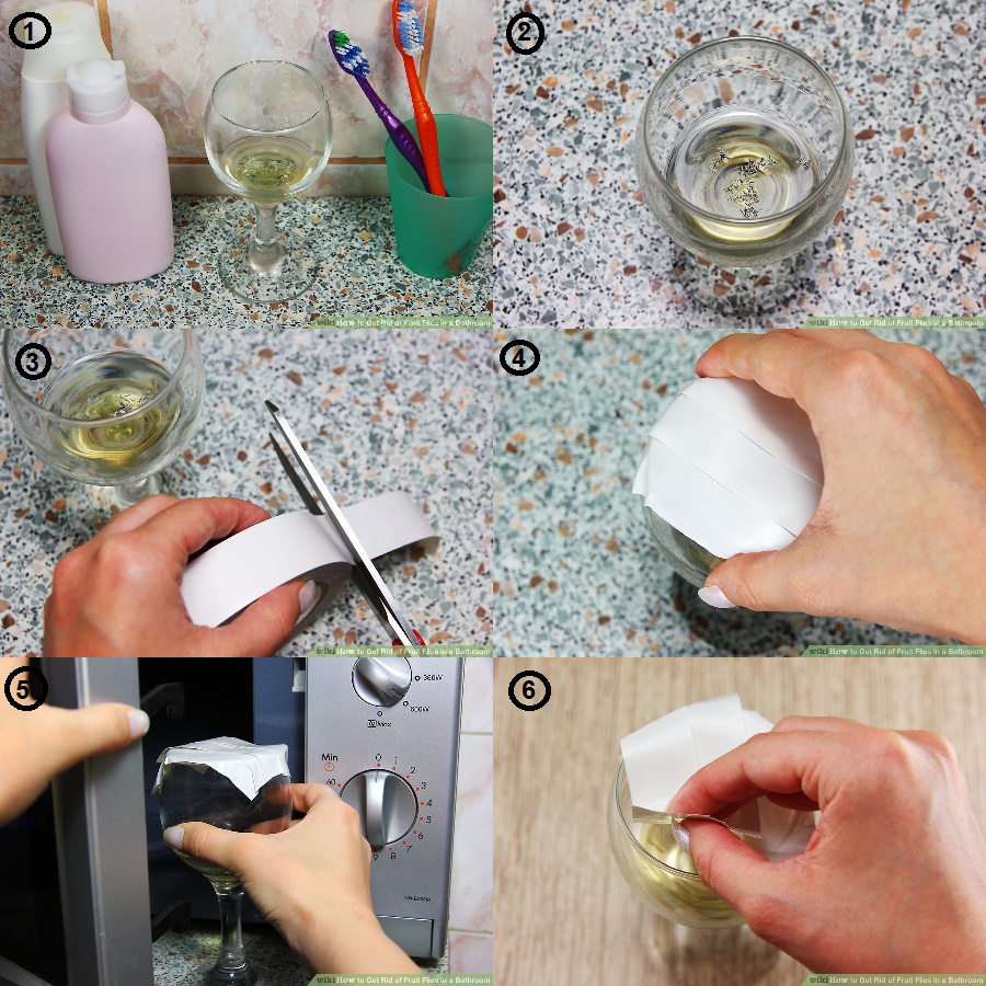 cách diệt ruồi giấm trong nhà vệ sinh bằng ly rượu nho
