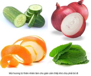 cach duoi gian ra khoi nha tu nguyen lieu thien nhien